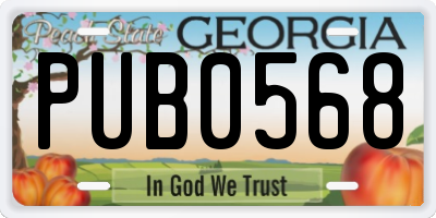 GA license plate PUB0568