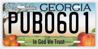 GA license plate PUB0601