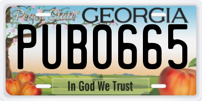 GA license plate PUB0665
