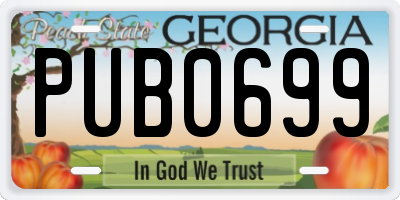 GA license plate PUB0699