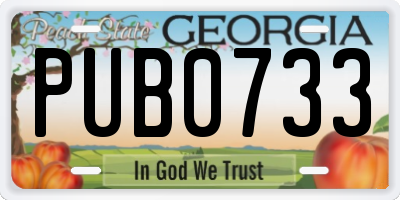 GA license plate PUB0733