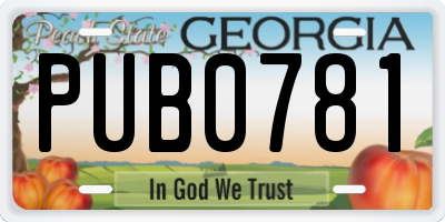 GA license plate PUB0781