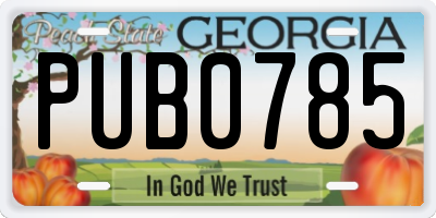 GA license plate PUB0785