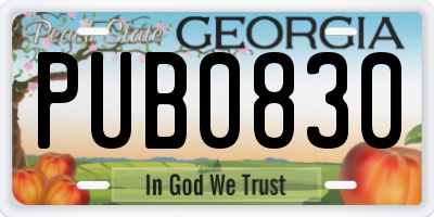GA license plate PUB0830
