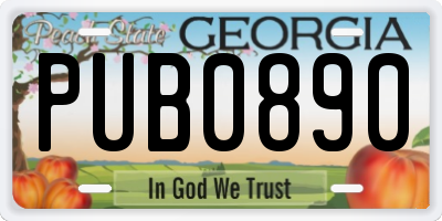 GA license plate PUB0890
