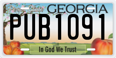 GA license plate PUB1091
