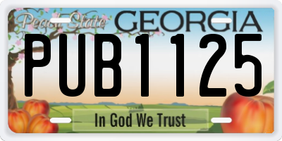 GA license plate PUB1125