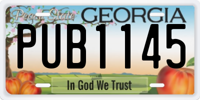GA license plate PUB1145