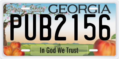 GA license plate PUB2156