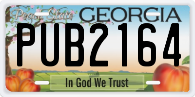 GA license plate PUB2164