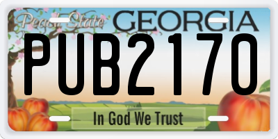 GA license plate PUB2170