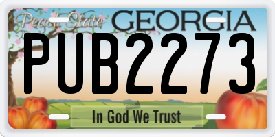 GA license plate PUB2273