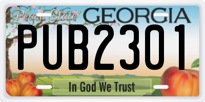 GA license plate PUB2301