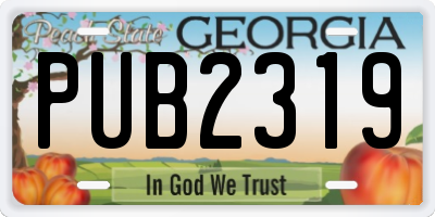 GA license plate PUB2319