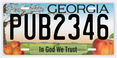 GA license plate PUB2346