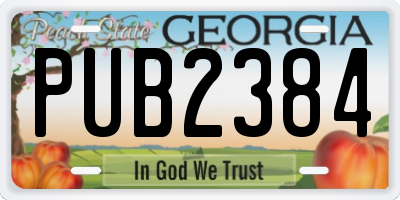 GA license plate PUB2384