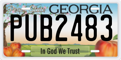 GA license plate PUB2483