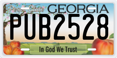 GA license plate PUB2528