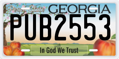 GA license plate PUB2553