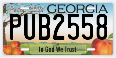 GA license plate PUB2558