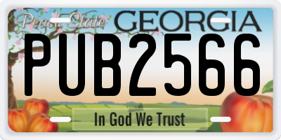 GA license plate PUB2566