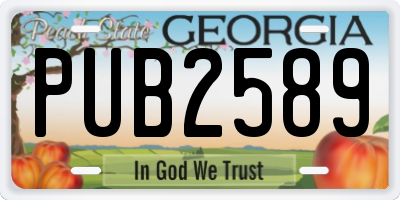 GA license plate PUB2589