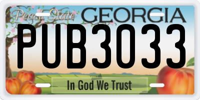 GA license plate PUB3033