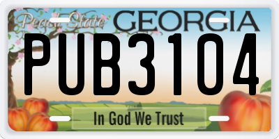 GA license plate PUB3104