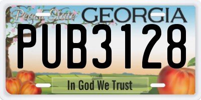 GA license plate PUB3128