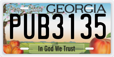 GA license plate PUB3135