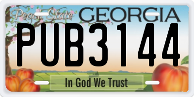 GA license plate PUB3144