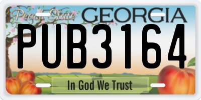 GA license plate PUB3164
