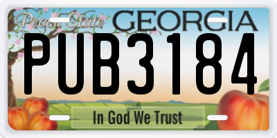 GA license plate PUB3184