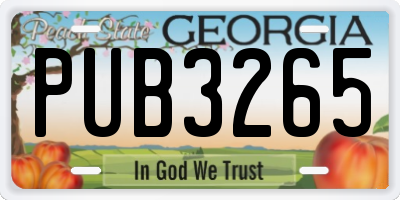 GA license plate PUB3265