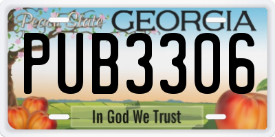 GA license plate PUB3306