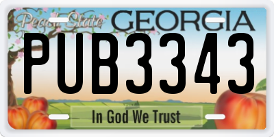 GA license plate PUB3343