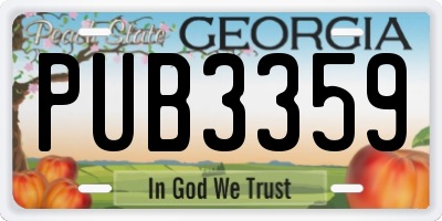 GA license plate PUB3359