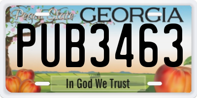GA license plate PUB3463
