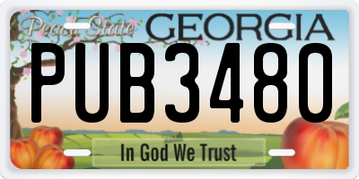 GA license plate PUB3480