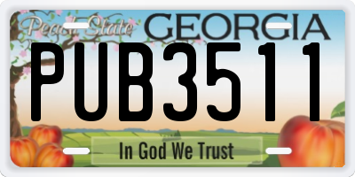 GA license plate PUB3511