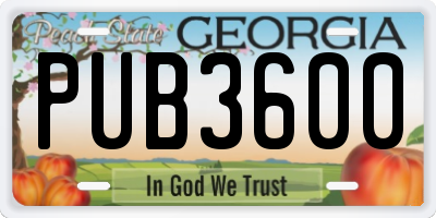 GA license plate PUB3600