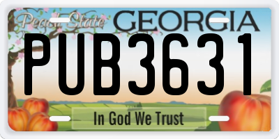 GA license plate PUB3631