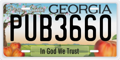 GA license plate PUB3660