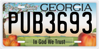GA license plate PUB3693