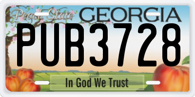 GA license plate PUB3728
