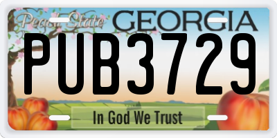 GA license plate PUB3729