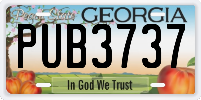 GA license plate PUB3737