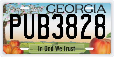 GA license plate PUB3828