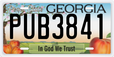 GA license plate PUB3841