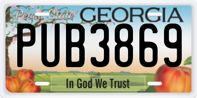 GA license plate PUB3869
